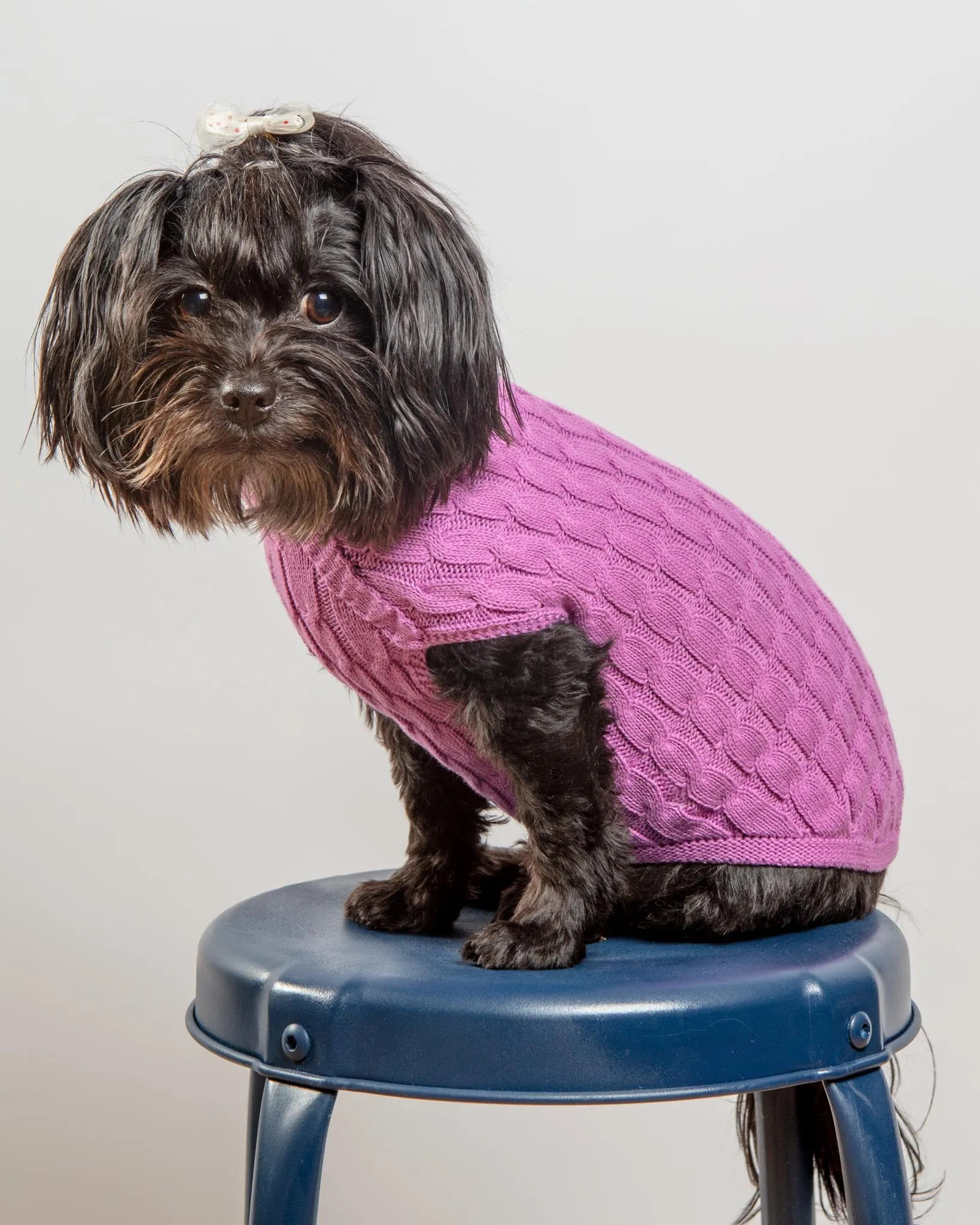 The Uptown Cable Knit Sweater in Radiant Orchid American Cotton (Made in NYC)